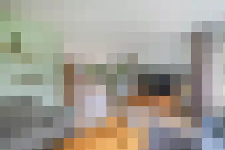 James Wattsingel 13 Emmeloord thumbnail 12