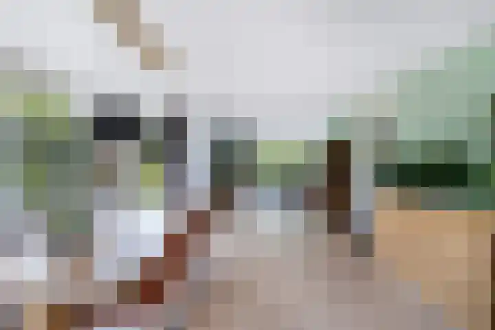 James Wattsingel 13 Emmeloord thumbnail 16