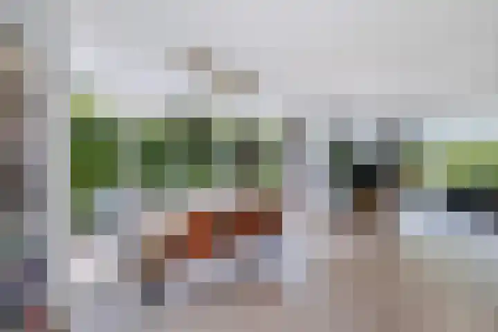 James Wattsingel 13 Emmeloord thumbnail 17
