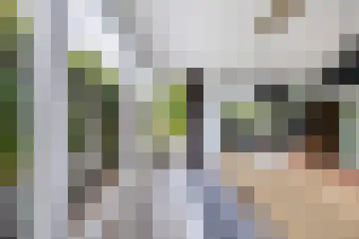 James Wattsingel 13 Emmeloord thumbnail 18