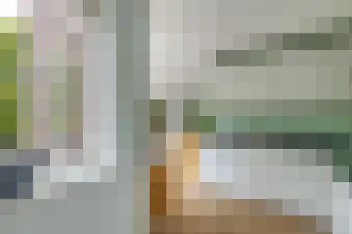 James Wattsingel 13 Emmeloord thumbnail 21