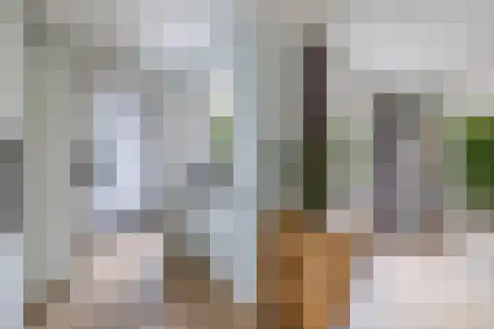 James Wattsingel 13 Emmeloord thumbnail 23