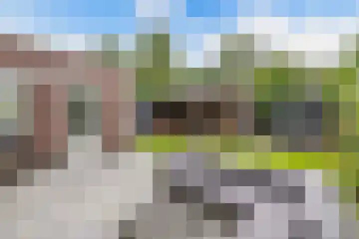 James Wattsingel 13 Emmeloord thumbnail 28