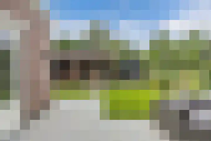 James Wattsingel 13 Emmeloord thumbnail 29