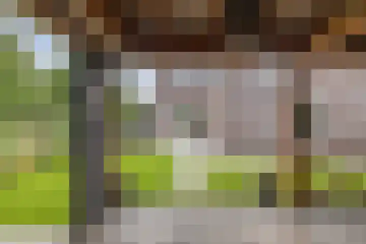 James Wattsingel 13 Emmeloord thumbnail 31