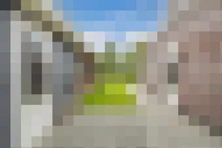 James Wattsingel 13 Emmeloord thumbnail 33