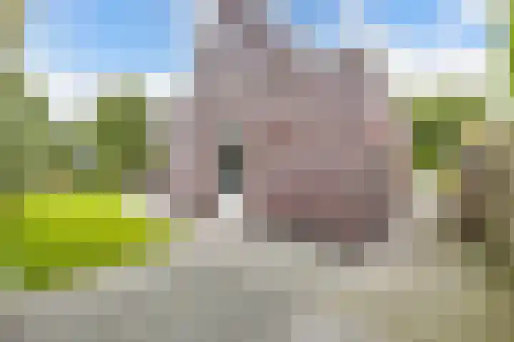 James Wattsingel 13 Emmeloord thumbnail 35