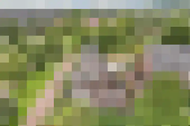 James Wattsingel 13 Emmeloord thumbnail 36