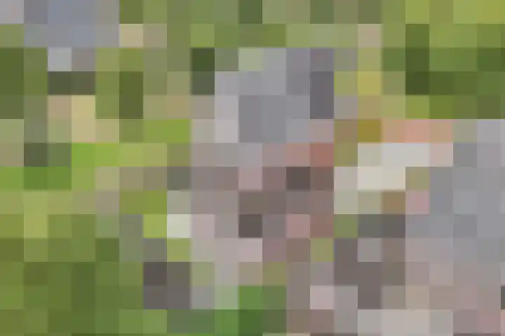 James Wattsingel 13 Emmeloord thumbnail 37