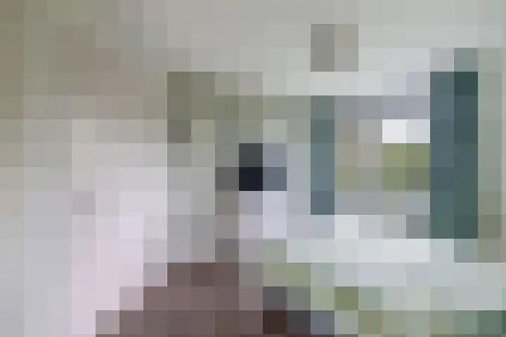 James Wattsingel 13 Emmeloord thumbnail 39