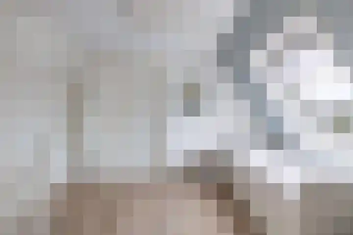 James Wattsingel 13 Emmeloord thumbnail 49