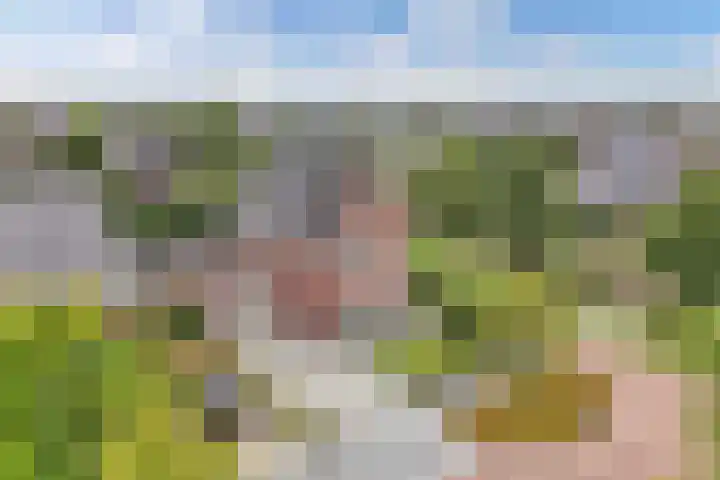 James Wattsingel 13 Emmeloord thumbnail 5