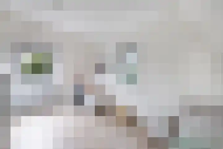 James Wattsingel 13 Emmeloord thumbnail 50