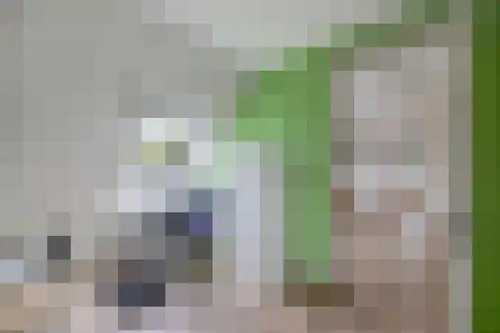 James Wattsingel 13 Emmeloord thumbnail 53