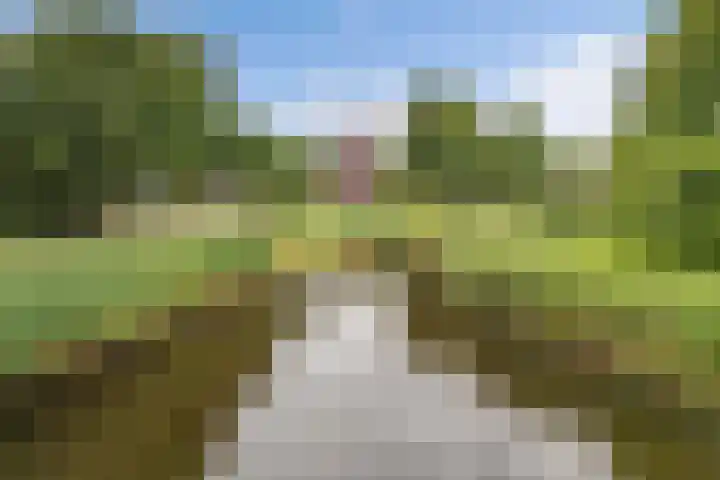 James Wattsingel 13 Emmeloord thumbnail 54