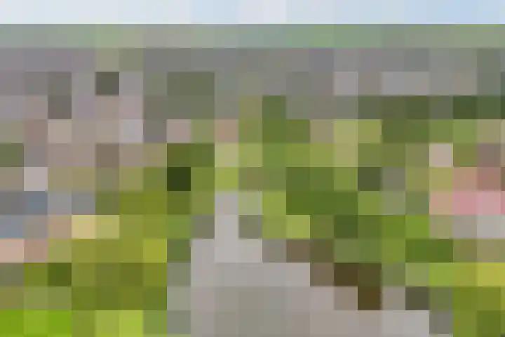 James Wattsingel 13 Emmeloord thumbnail 55