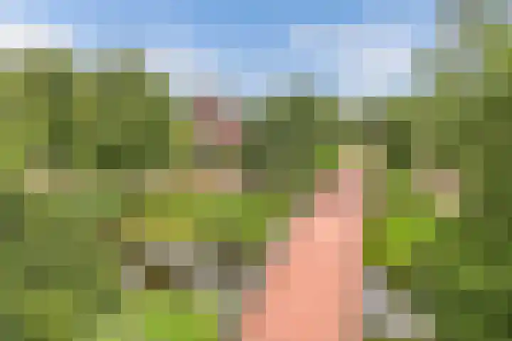 James Wattsingel 13 Emmeloord thumbnail 56