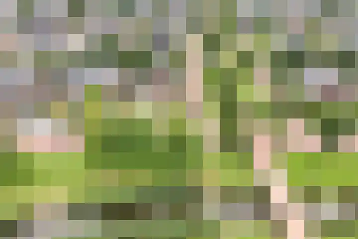 James Wattsingel 13 Emmeloord thumbnail 57