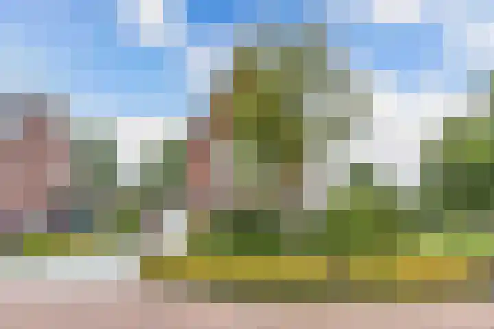 James Wattsingel 13 Emmeloord thumbnail 59