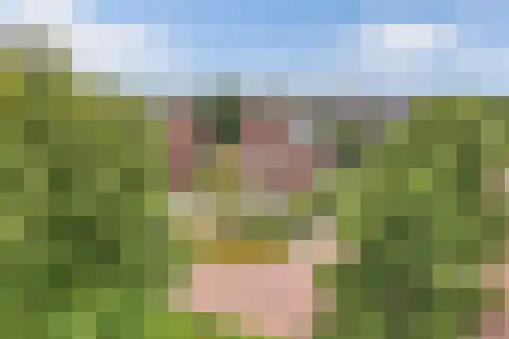 James Wattsingel 13 Emmeloord thumbnail 6