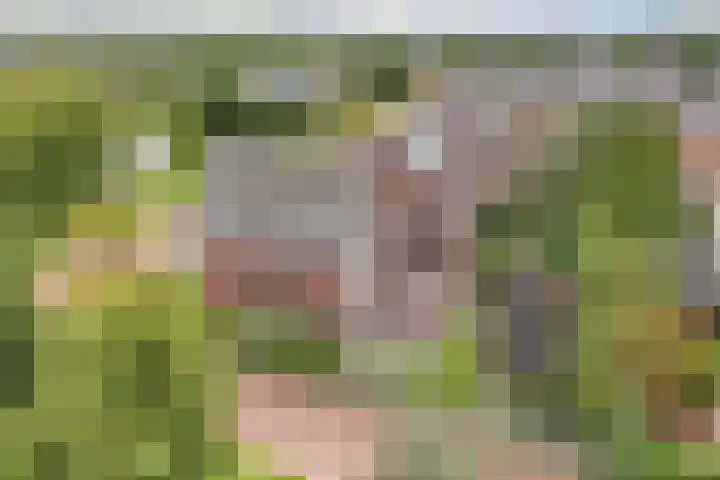 James Wattsingel 13 Emmeloord thumbnail 62