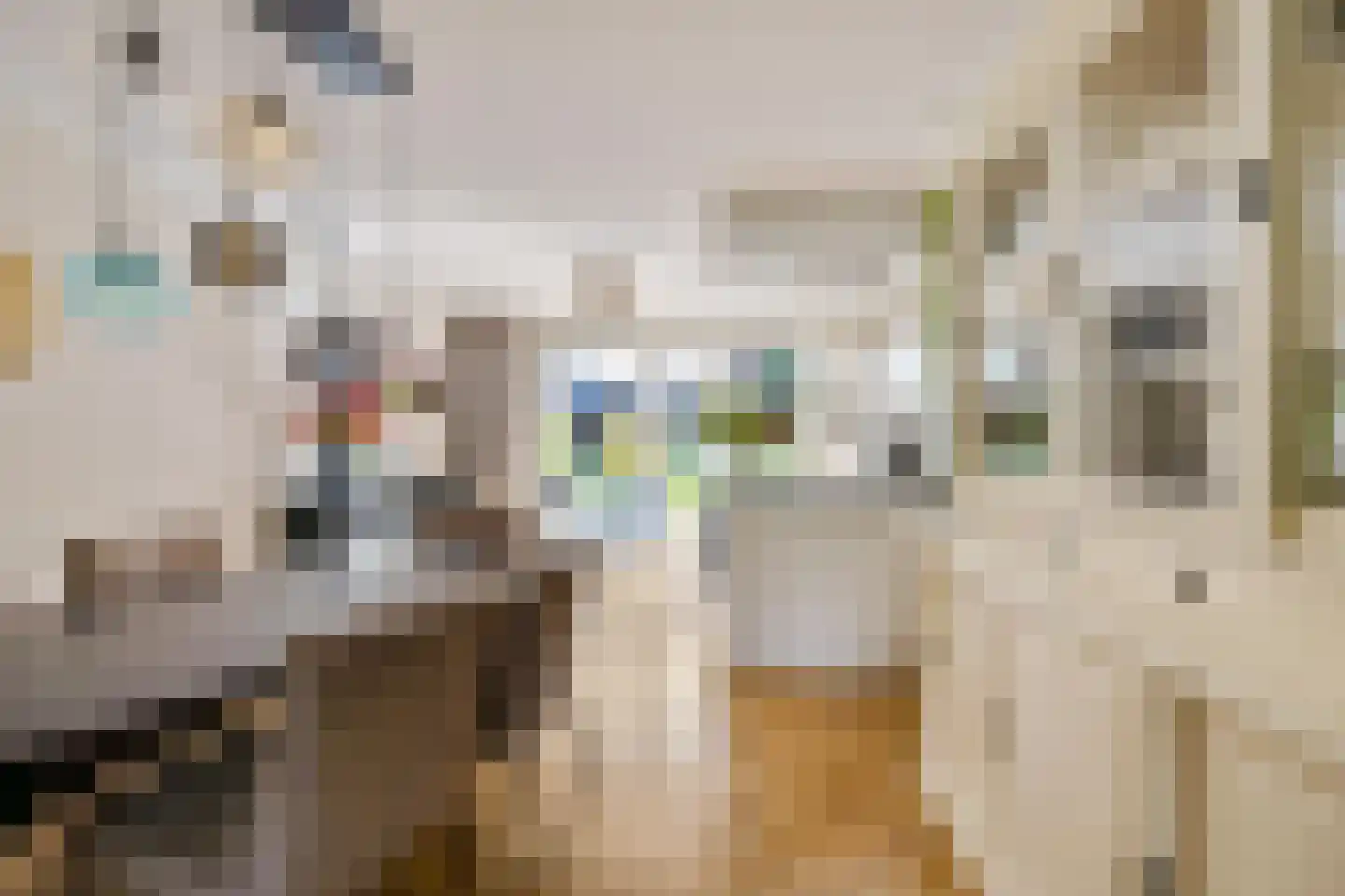 James Wattstraat 11 Groningen thumbnail 12