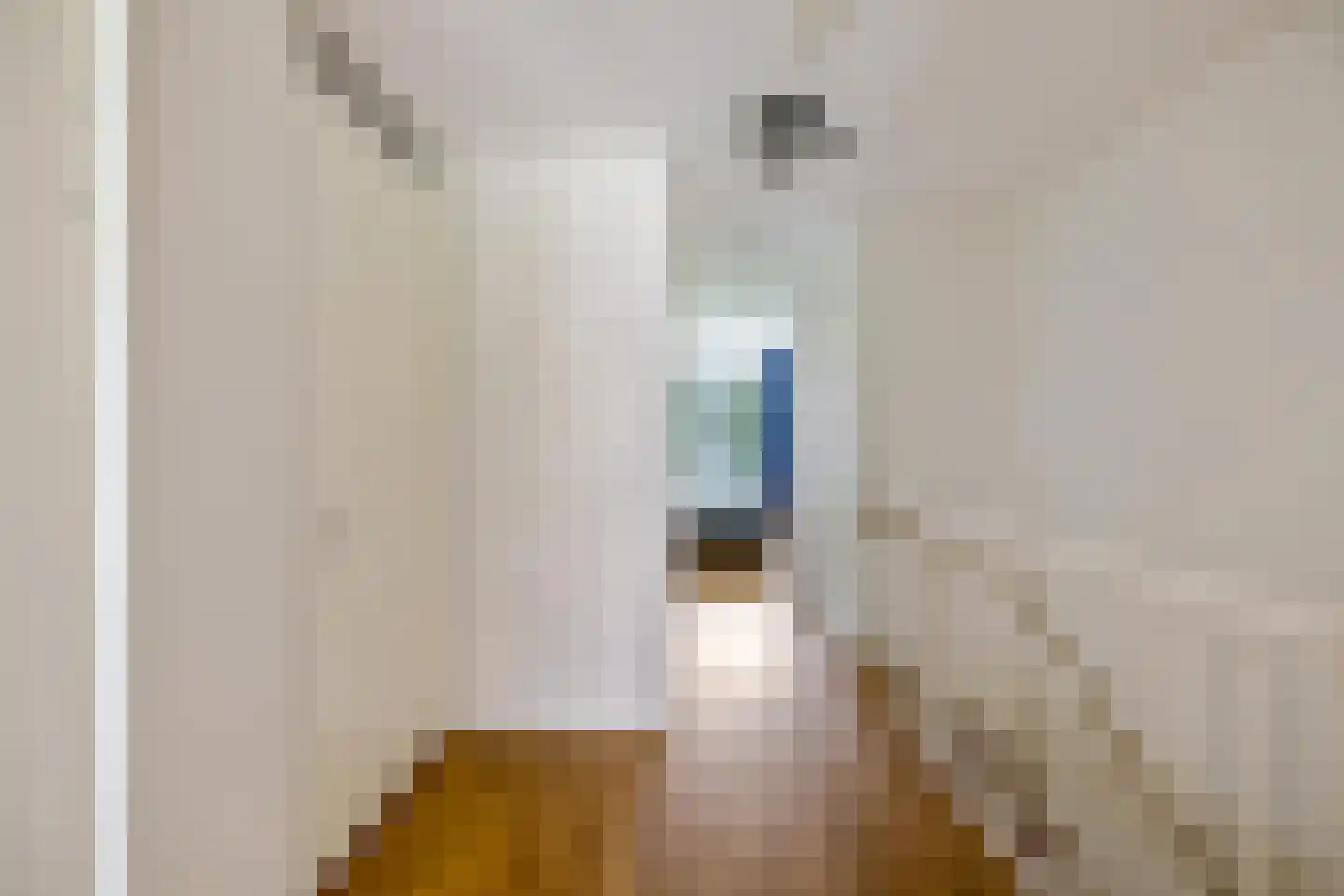 James Wattstraat 11 Groningen thumbnail 22