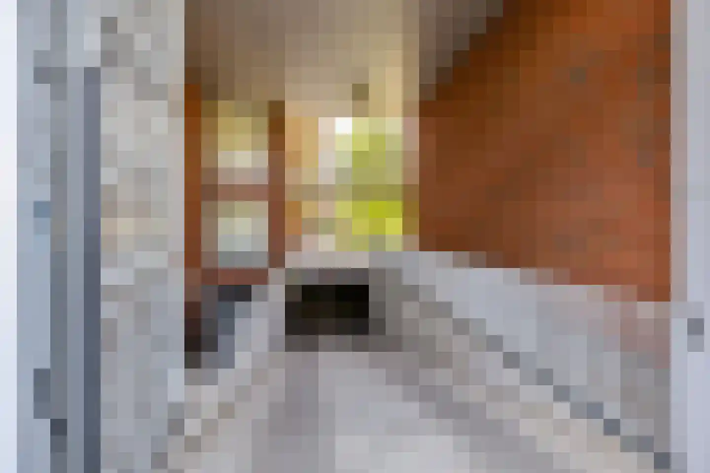 James Wattstraat 11 Groningen thumbnail 49