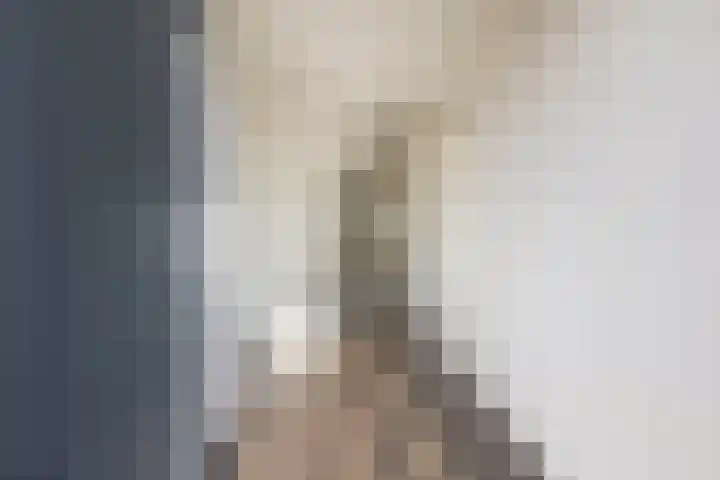 James Wattstraat 55 Groningen thumbnail 13