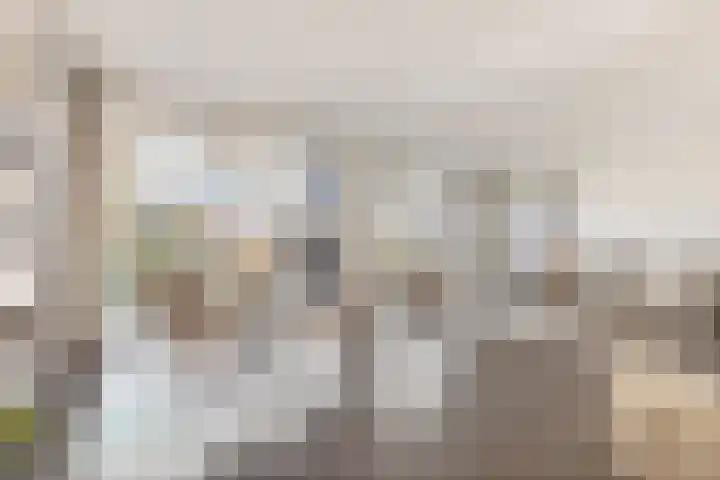 James Wattstraat 55 Groningen thumbnail 21
