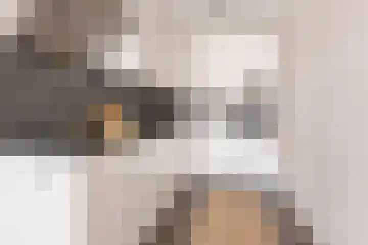 James Wattstraat 55 Groningen thumbnail 25