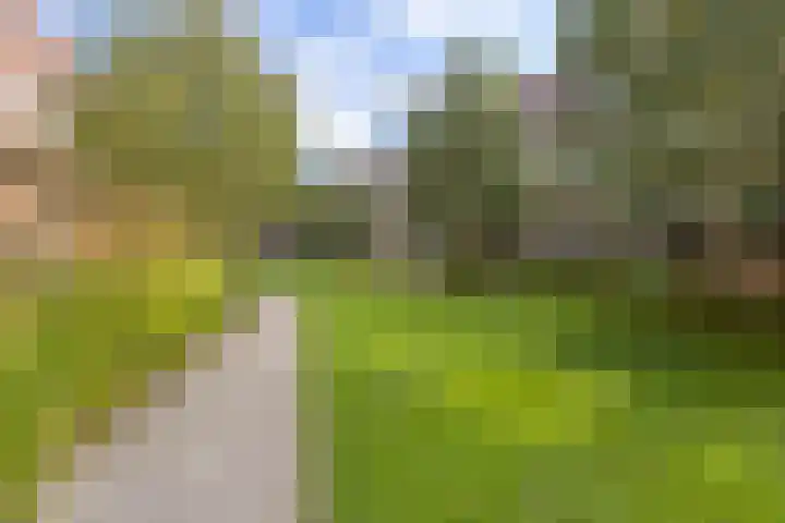 James Wattstraat 55 Groningen thumbnail 34