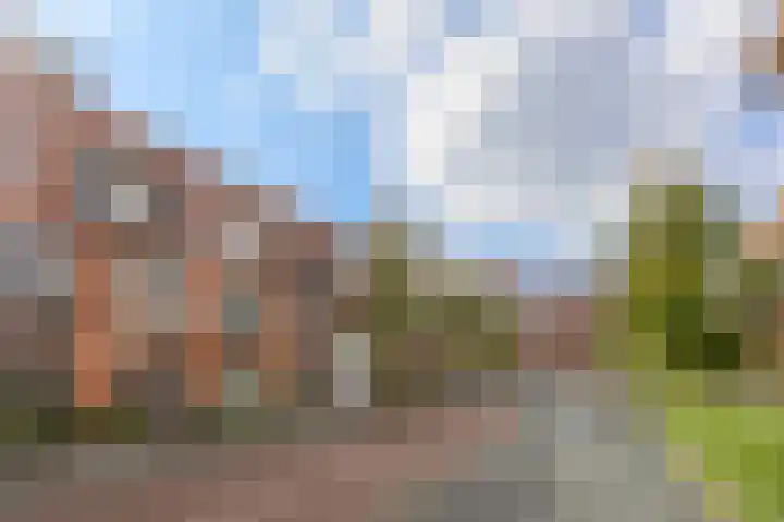 James Wattstraat 55 Groningen thumbnail 6