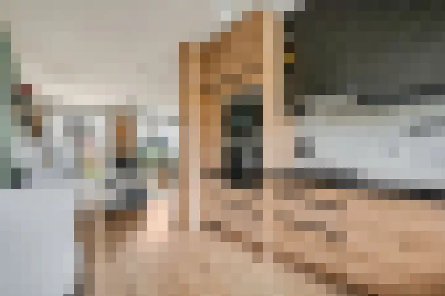 James Wattstraat 6 Ede thumbnail 12