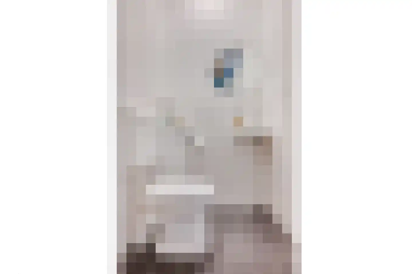 James Wattstraat 6 Ede thumbnail 17