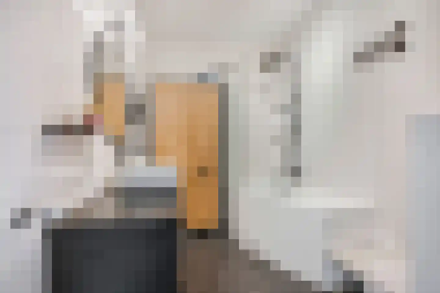 James Wattstraat 6 Ede thumbnail 19