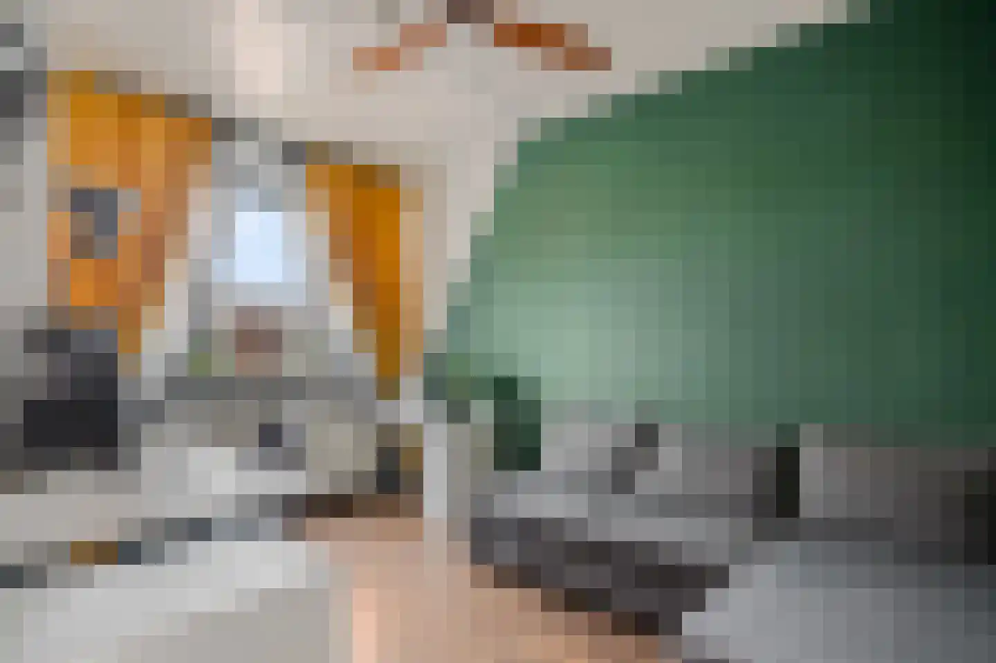 James Wattstraat 6 Ede thumbnail 27