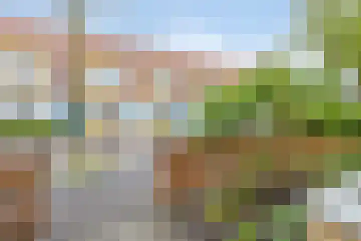 James Wattstraat 7 Ede thumbnail 6
