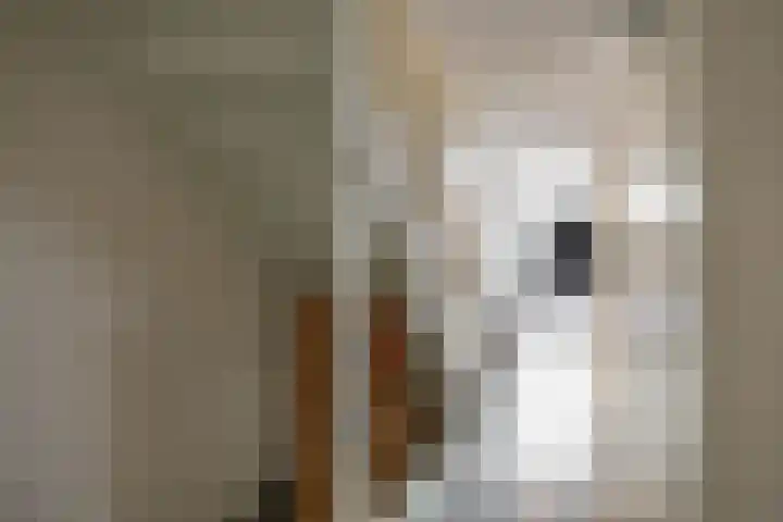 James Wattstraat 7 Groningen thumbnail 21