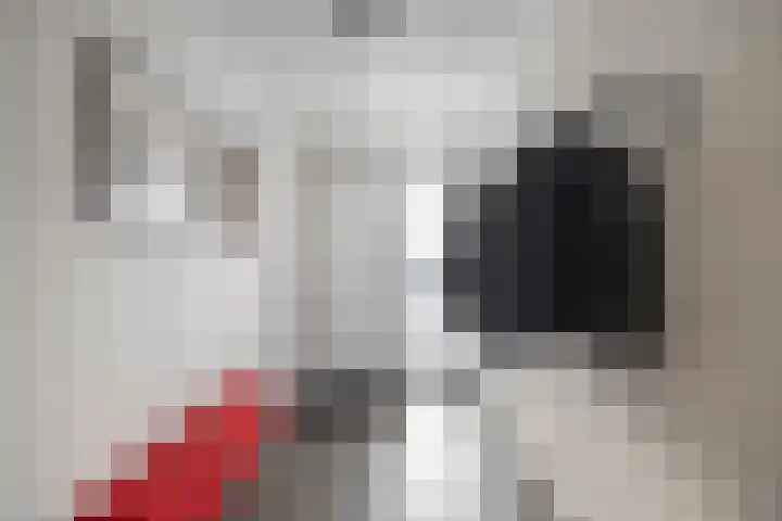 James Wattstraat 7 Groningen thumbnail 6