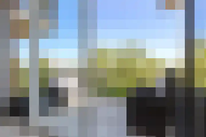 James Wattstraat 85 Groningen thumbnail 30