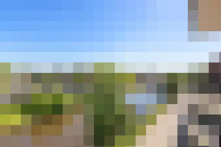 James Wattstraat 85 Groningen thumbnail 34