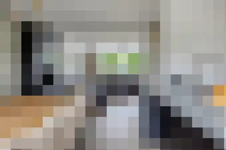 Jan Aarjensz Breedtstraat 5 Den Helder thumbnail 13