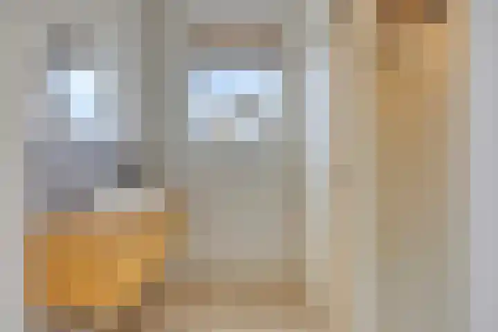 Jan Aarjensz Breedtstraat 5 Den Helder thumbnail 30