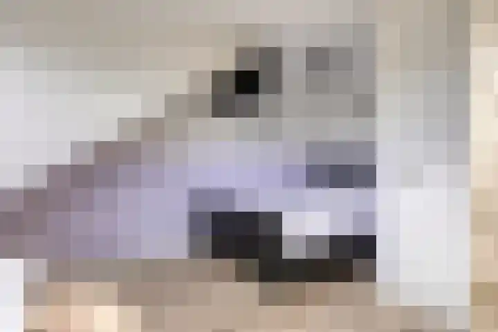 Jan Aarjensz Breedtstraat 5 Den Helder thumbnail 37