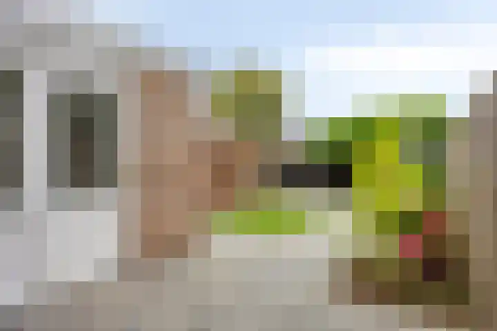 Jan Aarjensz Breedtstraat 5 Den Helder thumbnail 39