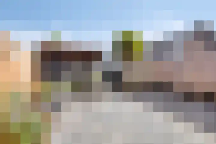 Jan Aarjensz Prinsstraat 17 Den Helder thumbnail 4