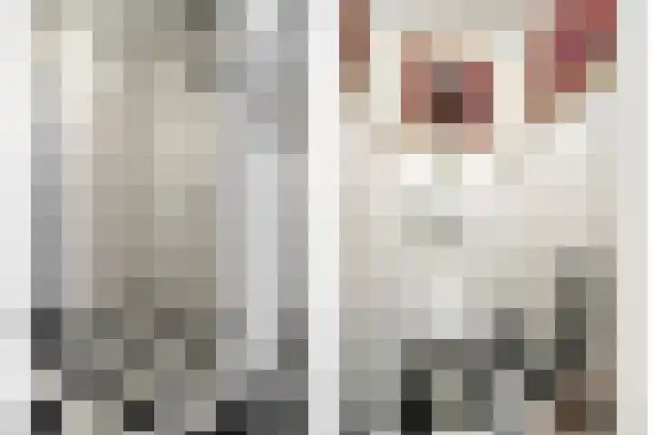 Jan Aartestraat 31 Tilburg thumbnail 23