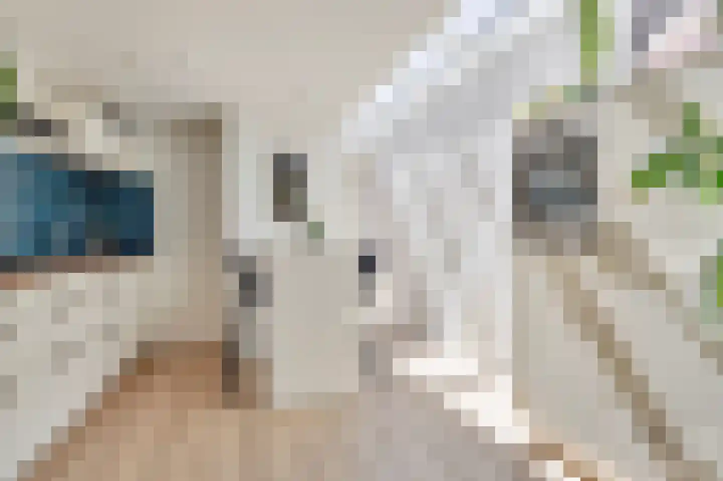 Jan Aartestraat 32 Tilburg thumbnail 10