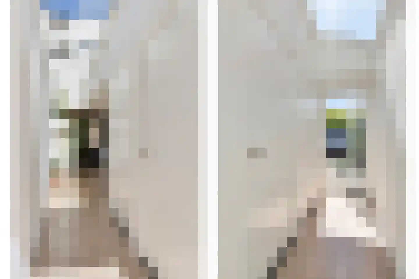 Jan Aartestraat 32 Tilburg thumbnail 13